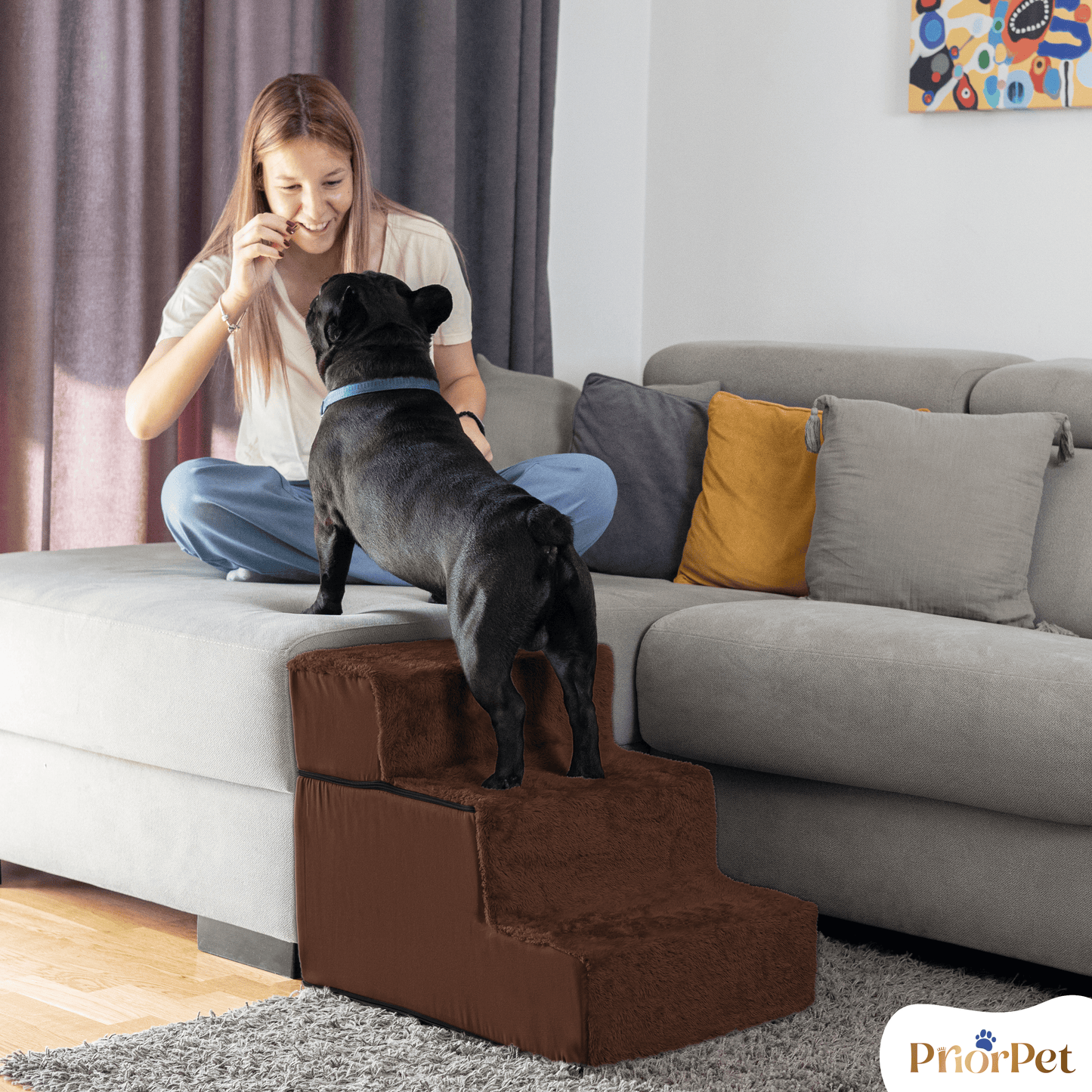Escaleras de perro para sofá-3 pasos