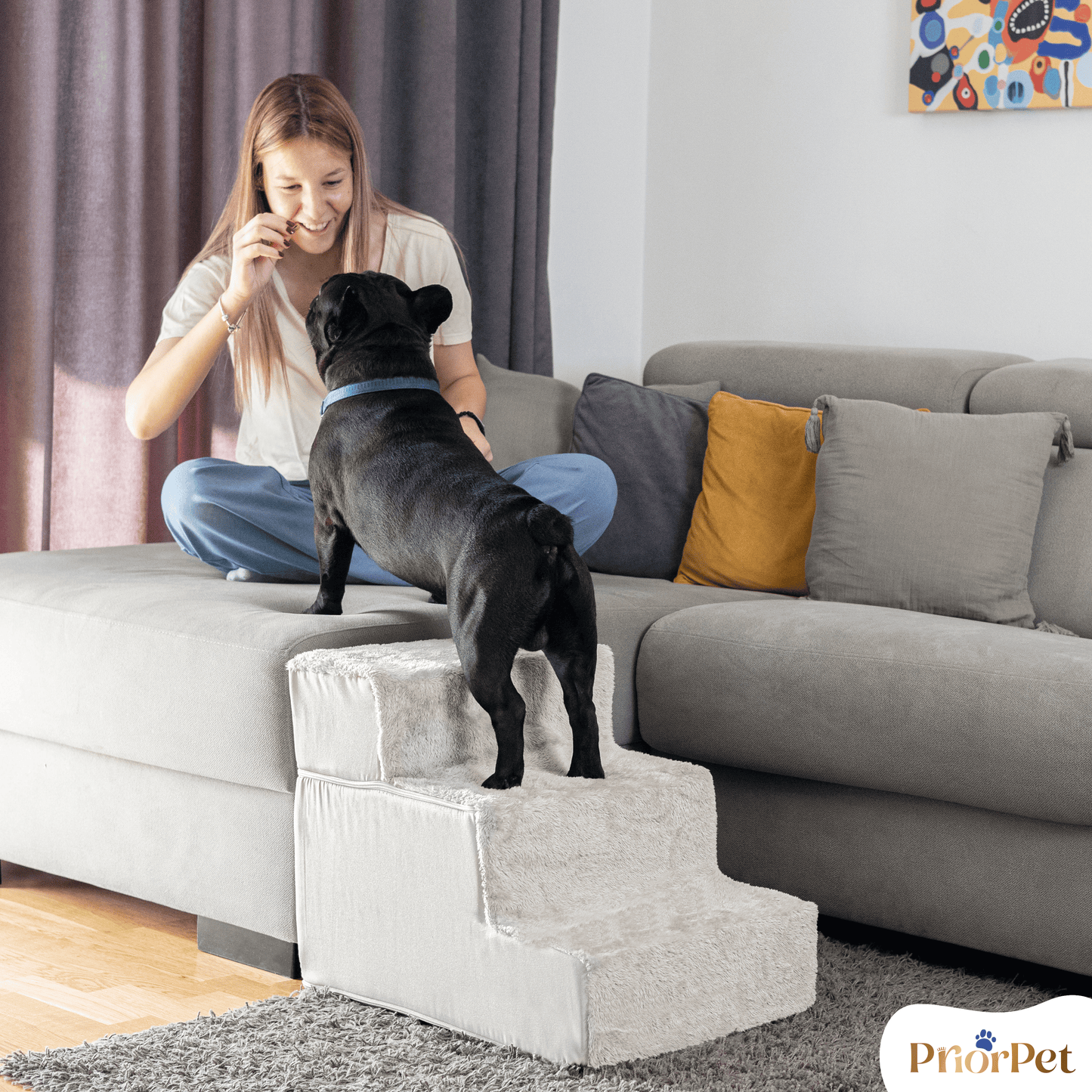 Escaleras de perro para sofá-3 pasos