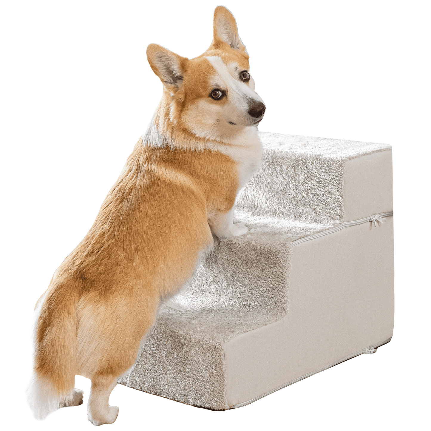 Escaleras de perro para sofá-3 pasos