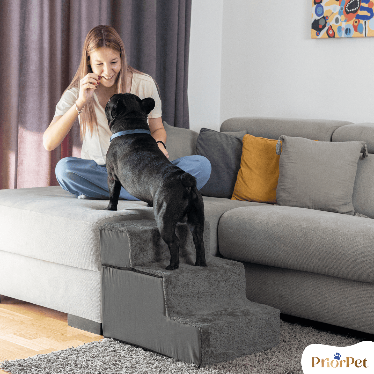 Escaleras de perro para sofá-3 pasos