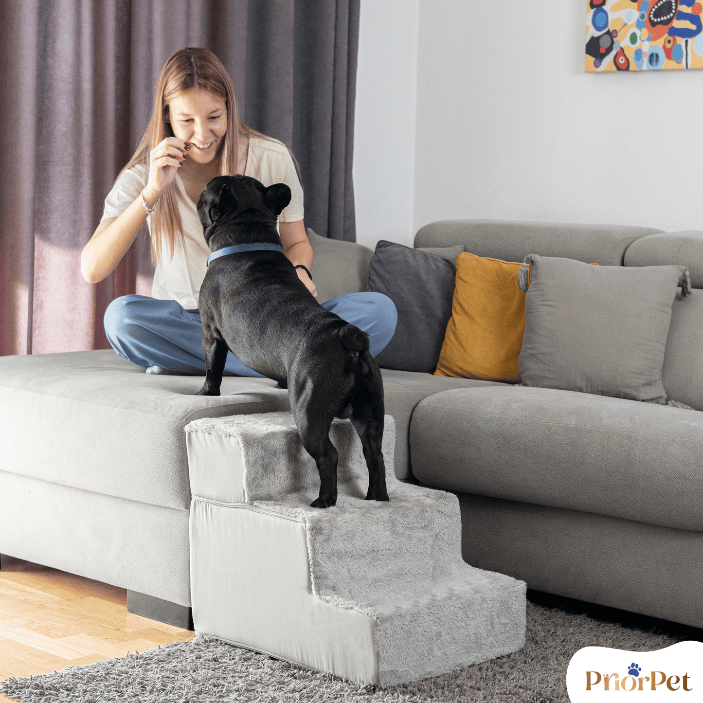 Escaleras de perro para sofá-3 pasos
