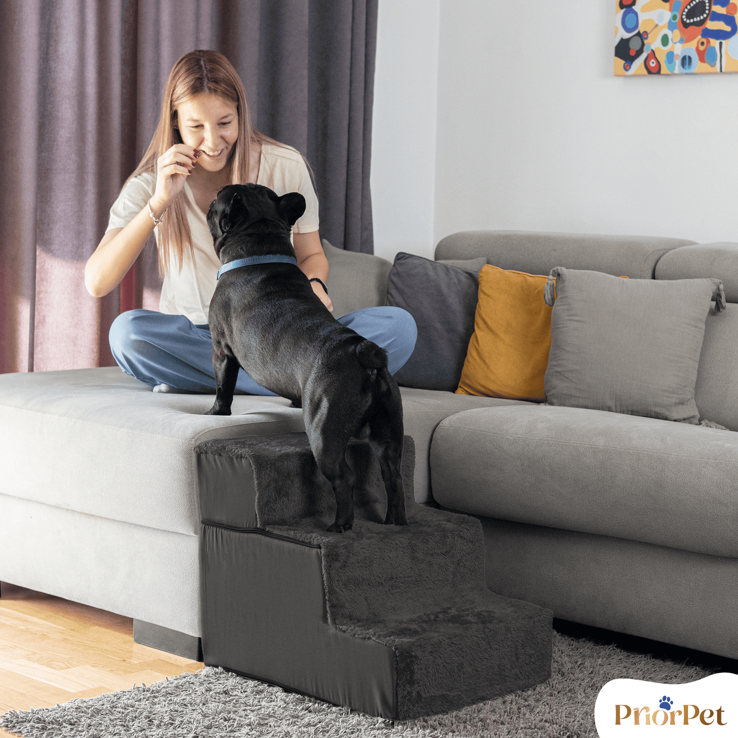 Escaleras de perro para sofá-3 pasos