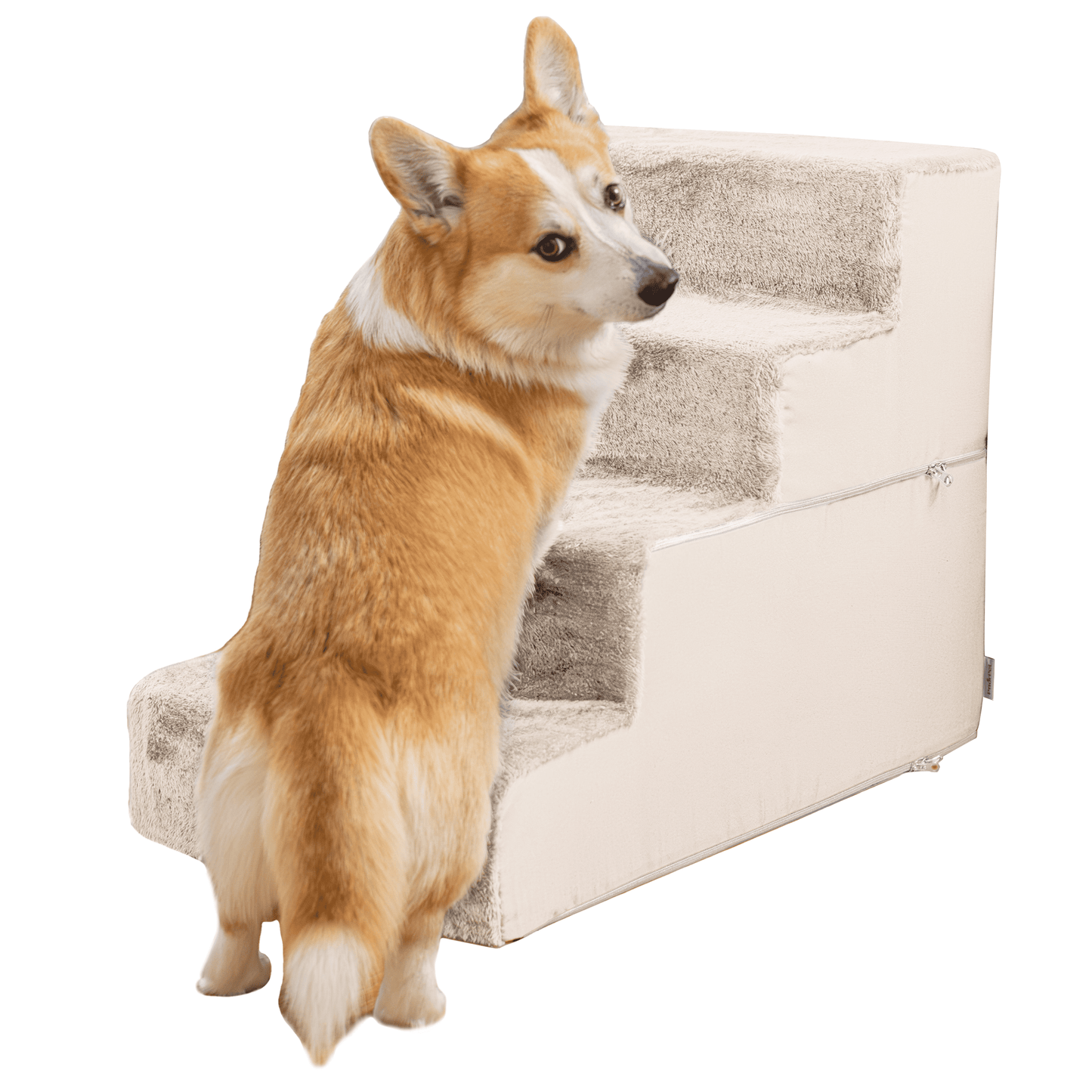 Hondentrappen voor sofa-4 stappen