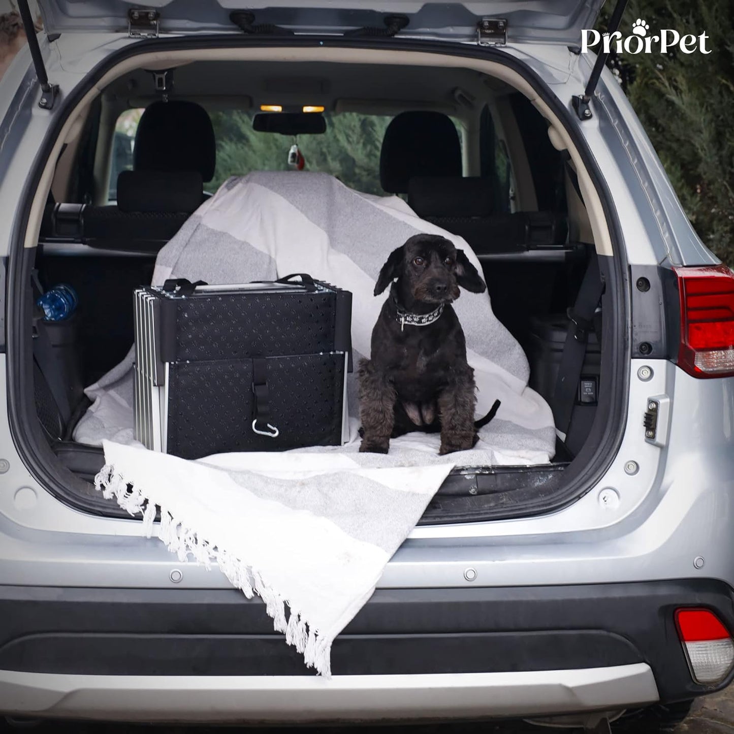 Escaleras para perros de 5 pasos para exteriores