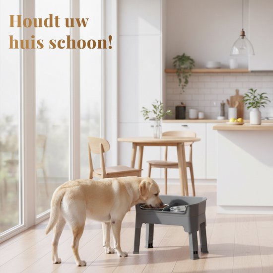 Gamelle surélevée pour chien avec support–Gamelle double en acier inoxydable–Gamelle stable pour chien–Gamelle surélevée pour chien–Gamelle pour chien avec support
