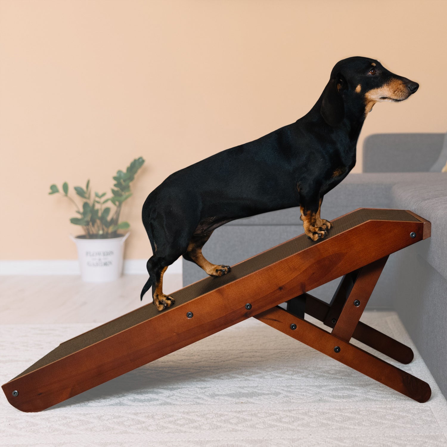 Rampa Per Cani PawHut Pieghevole - Regolabile In Altezza, Antiscivolo, Supporta Fino A 75kg - Foto 6