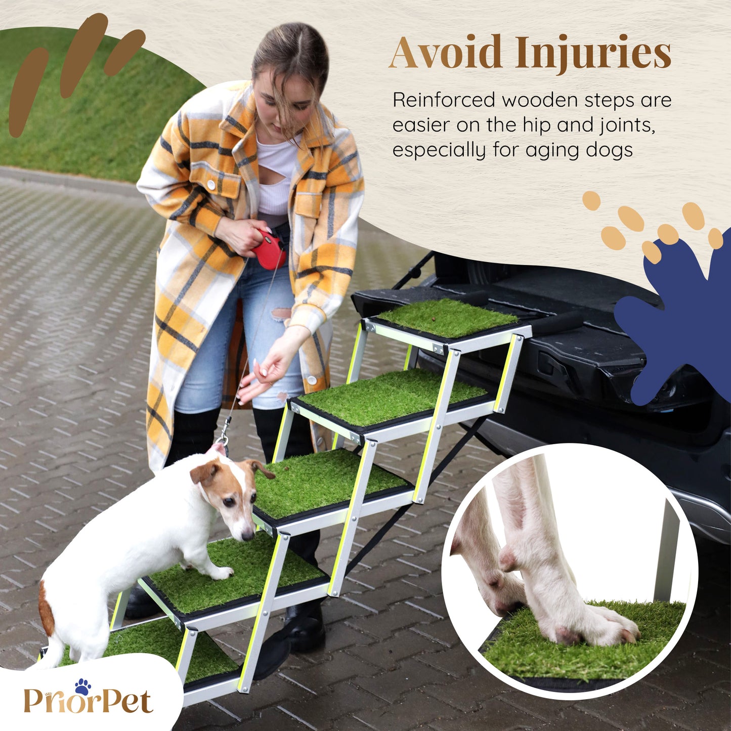 Escaliers pour chiens d'extérieur 5 étapes-Base non plate