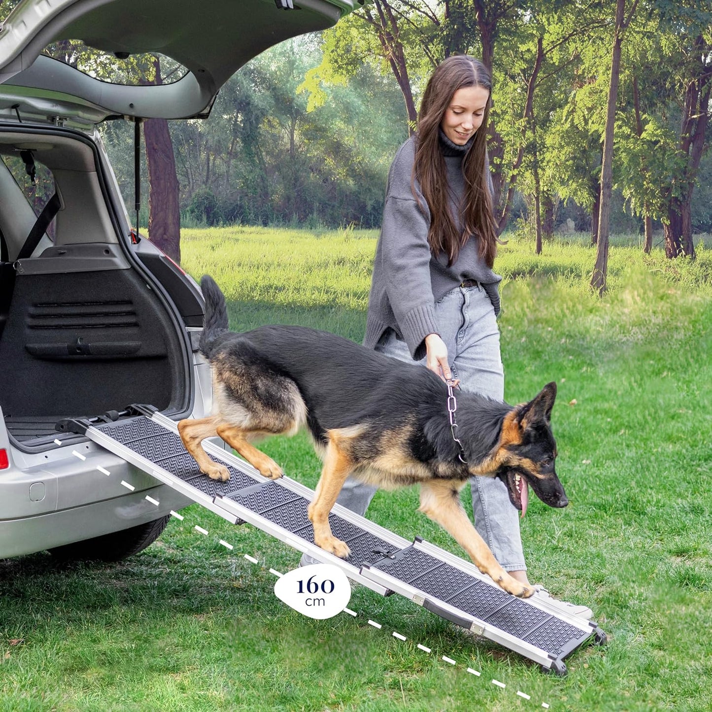 Rampa de perro telescópica