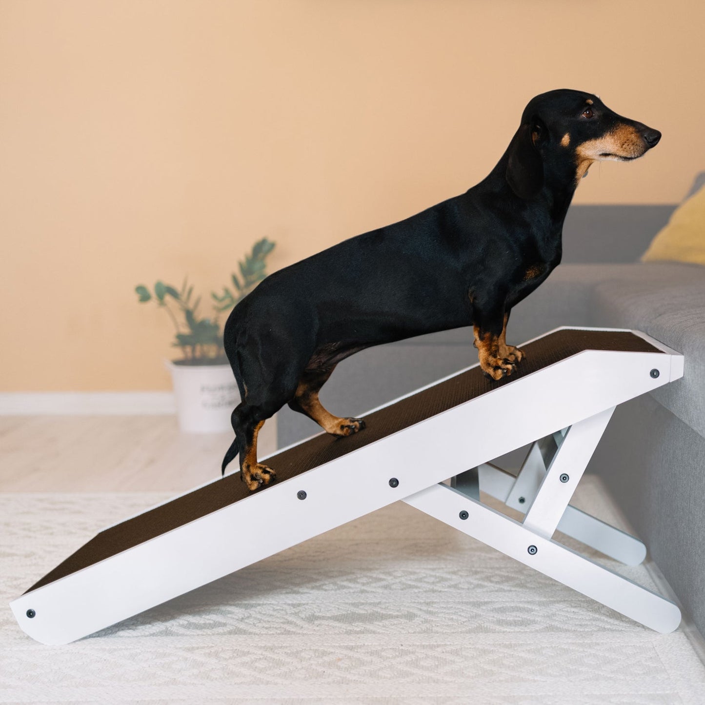 Rampa para perros para sofá - Usada como nueva