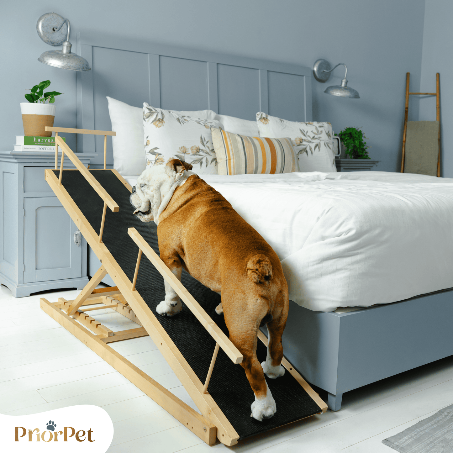 Rampa del perro para la cama