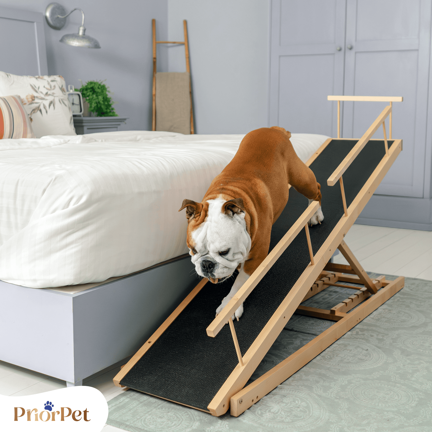 Rampa del perro para la cama