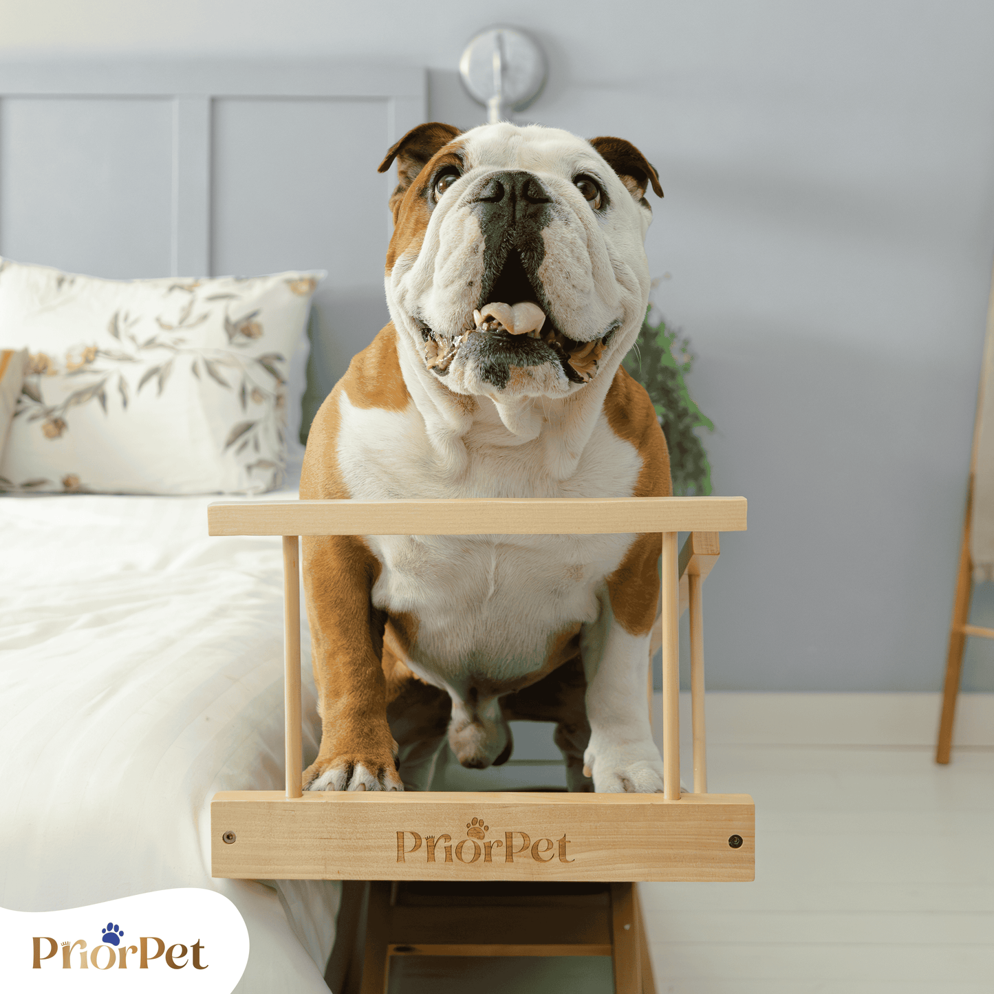Rampa del perro para la cama