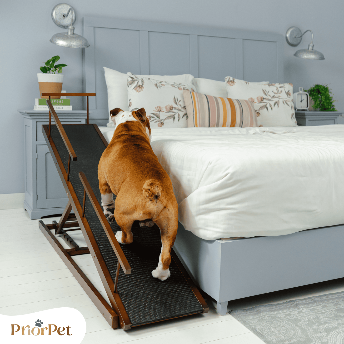 Rampa del perro para la cama