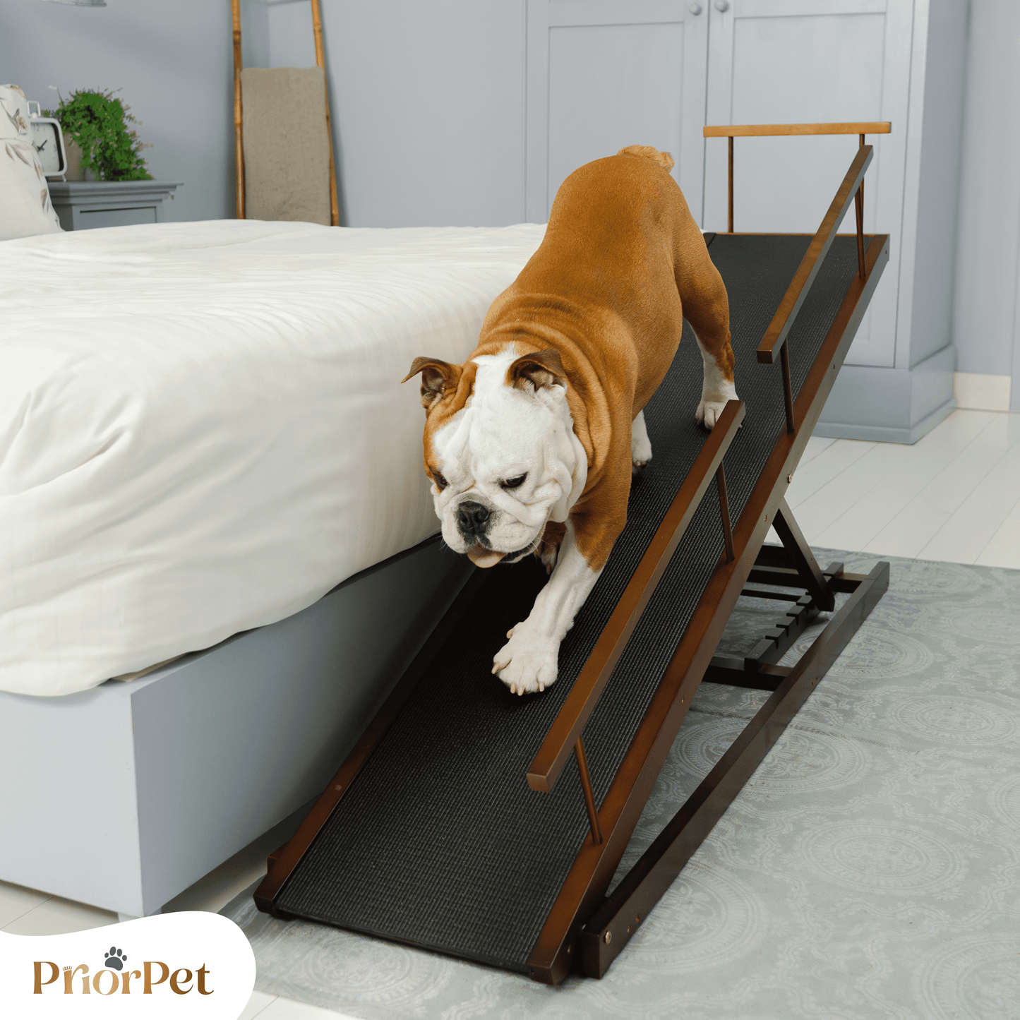 Rampa del perro para la cama