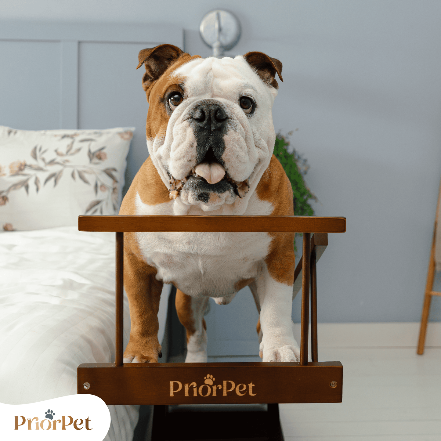 Rampa del perro para la cama