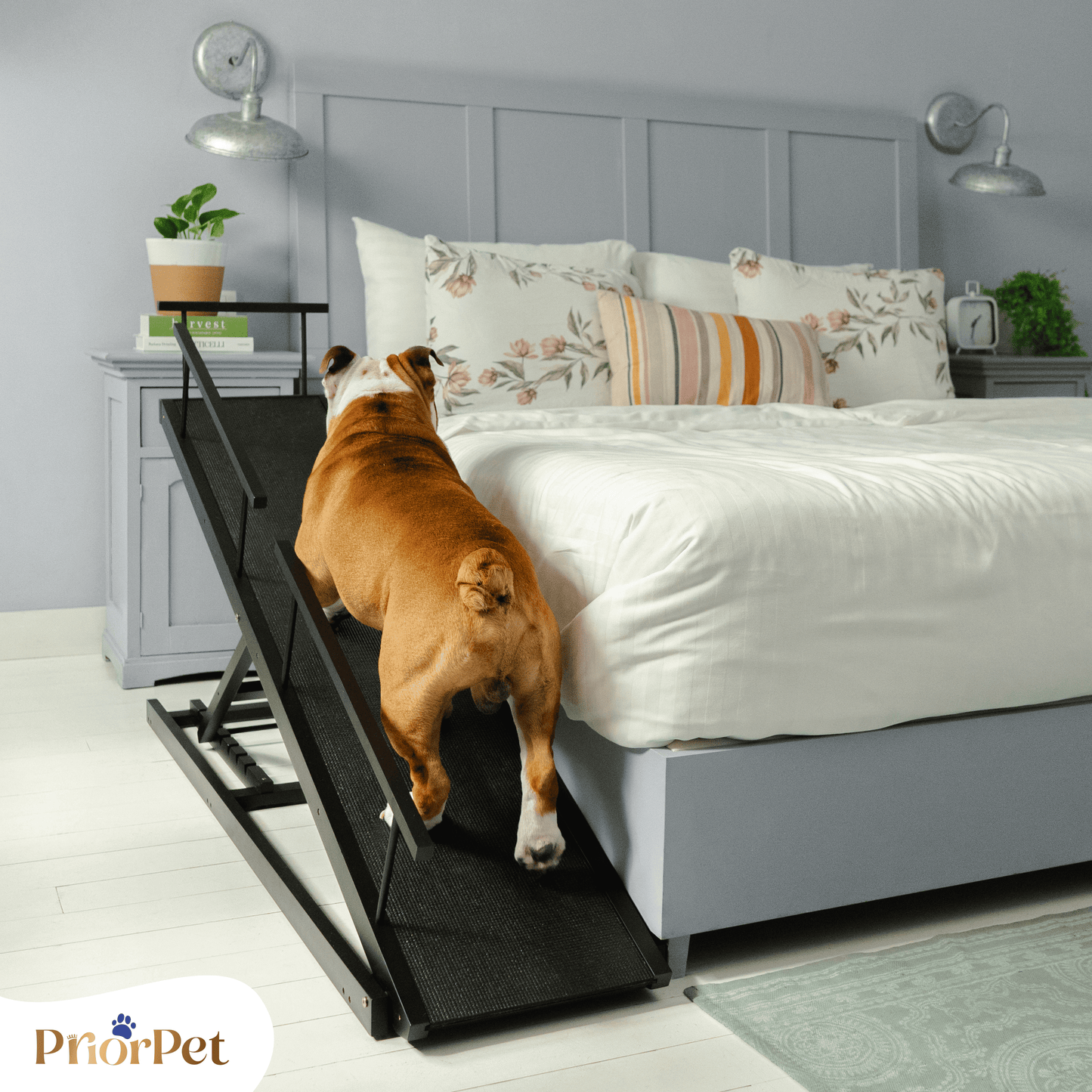 Rampa del perro para la cama