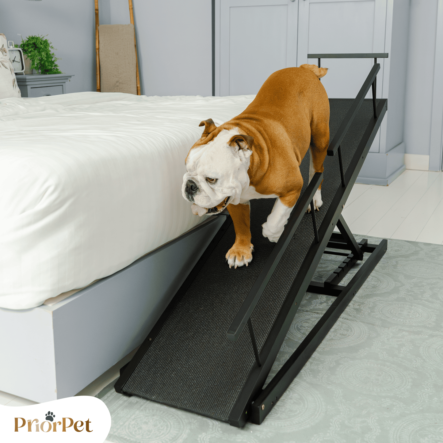 Rampa del perro para la cama