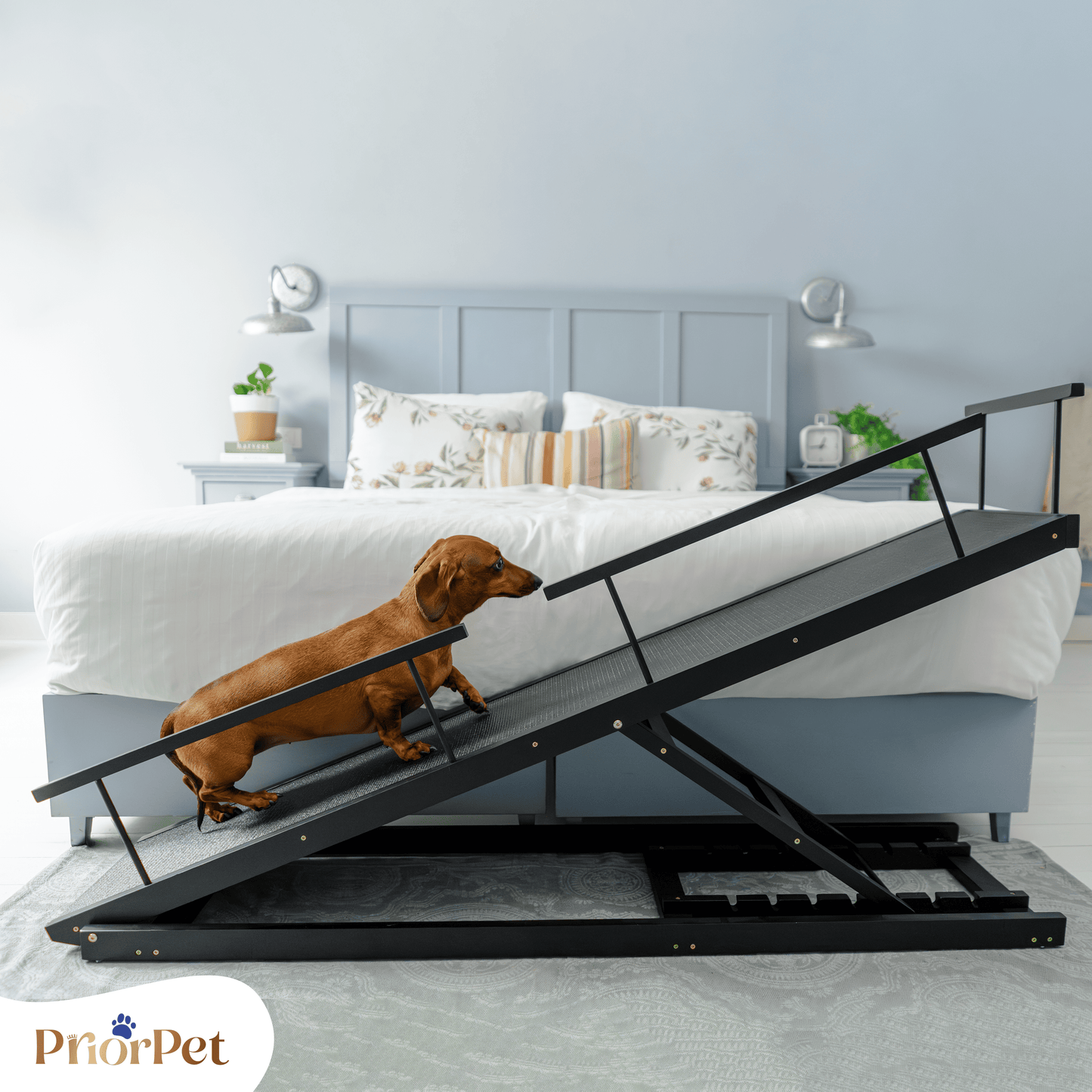 Rampa del perro para la cama