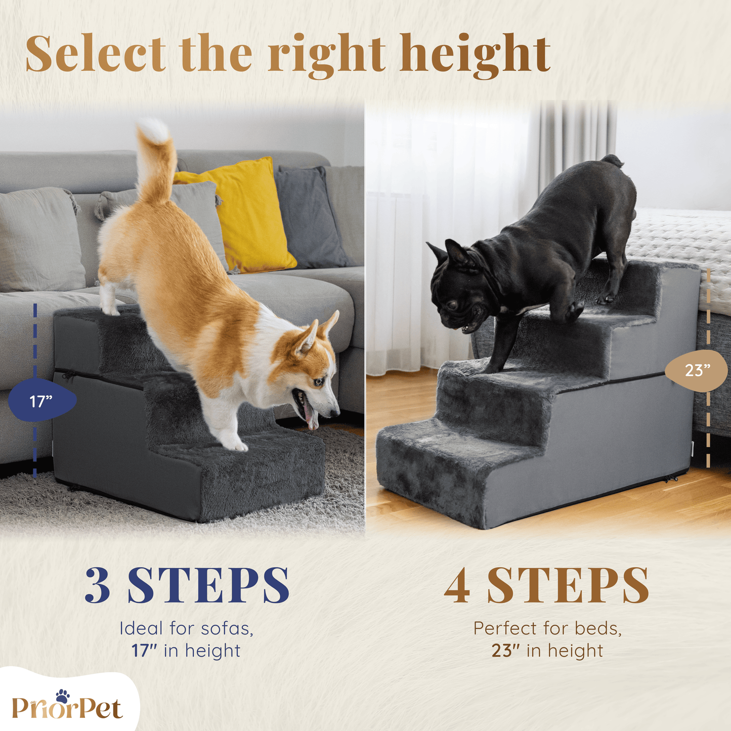 Scale per cani per divano-4 passi