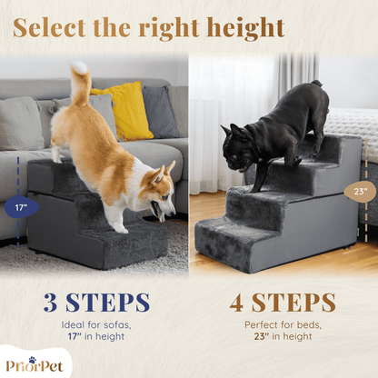 Scale per cani per divano-4 passi