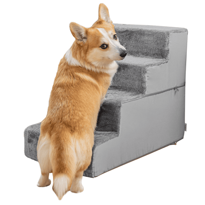 Scale per cani per divano-4 passi