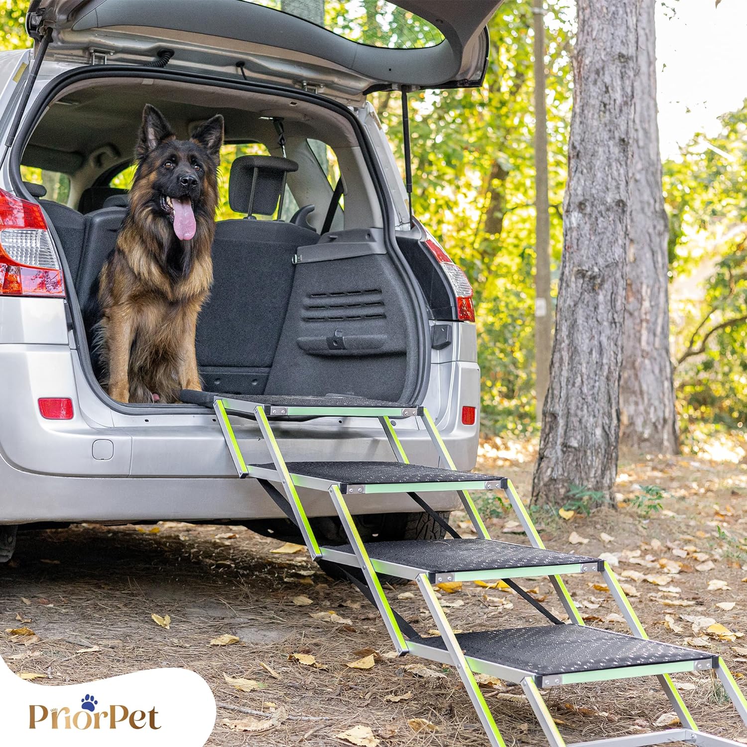 Scala Per Cani Pieghevole Per Auto - Portata 80 Kg, In Alluminio, Antiscivolo, Per SUV E Camper