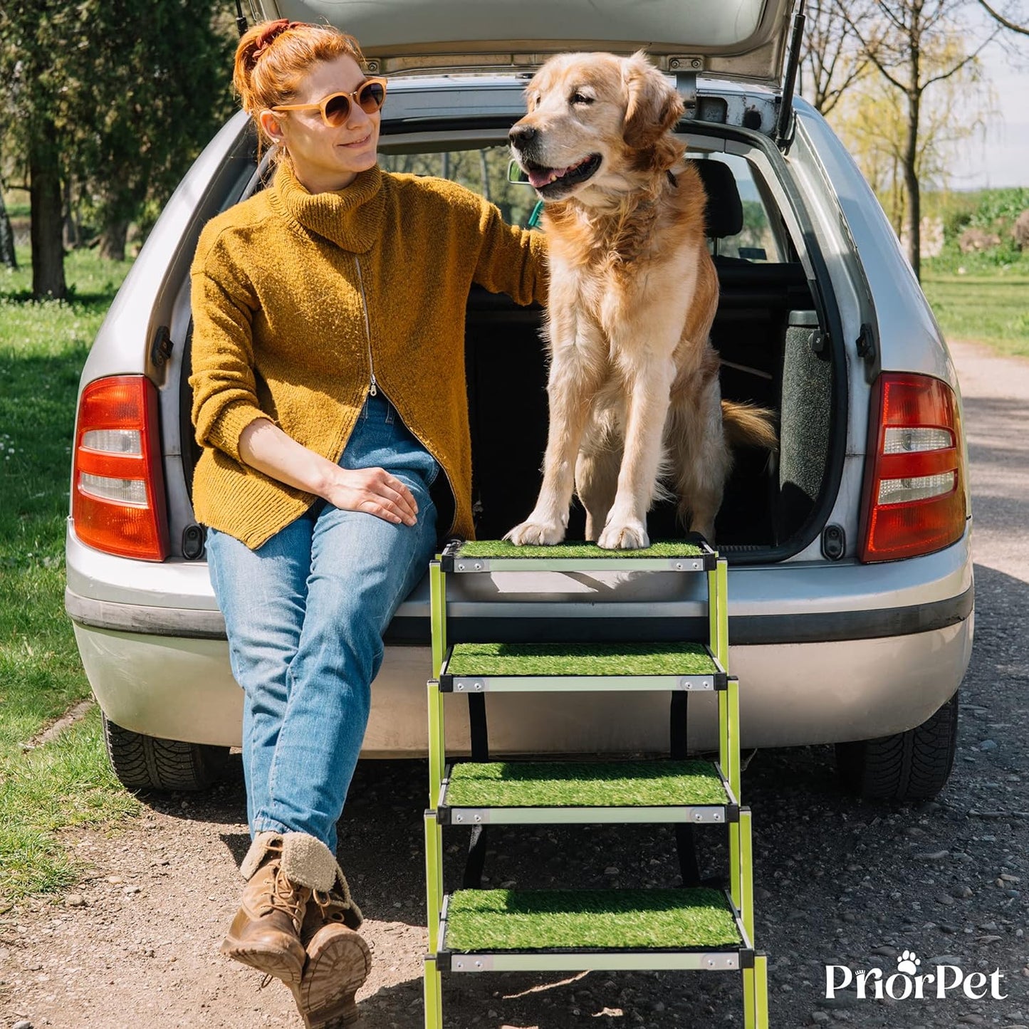 Escaleras para perros de 4 escalones para exteriores, usadas como nuevas