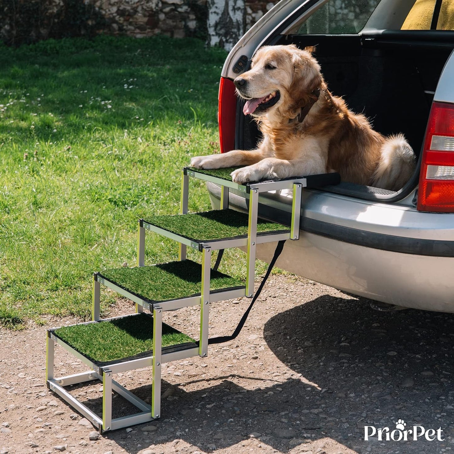 Escaleras para perros de 4 escalones para exteriores, usadas como nuevas