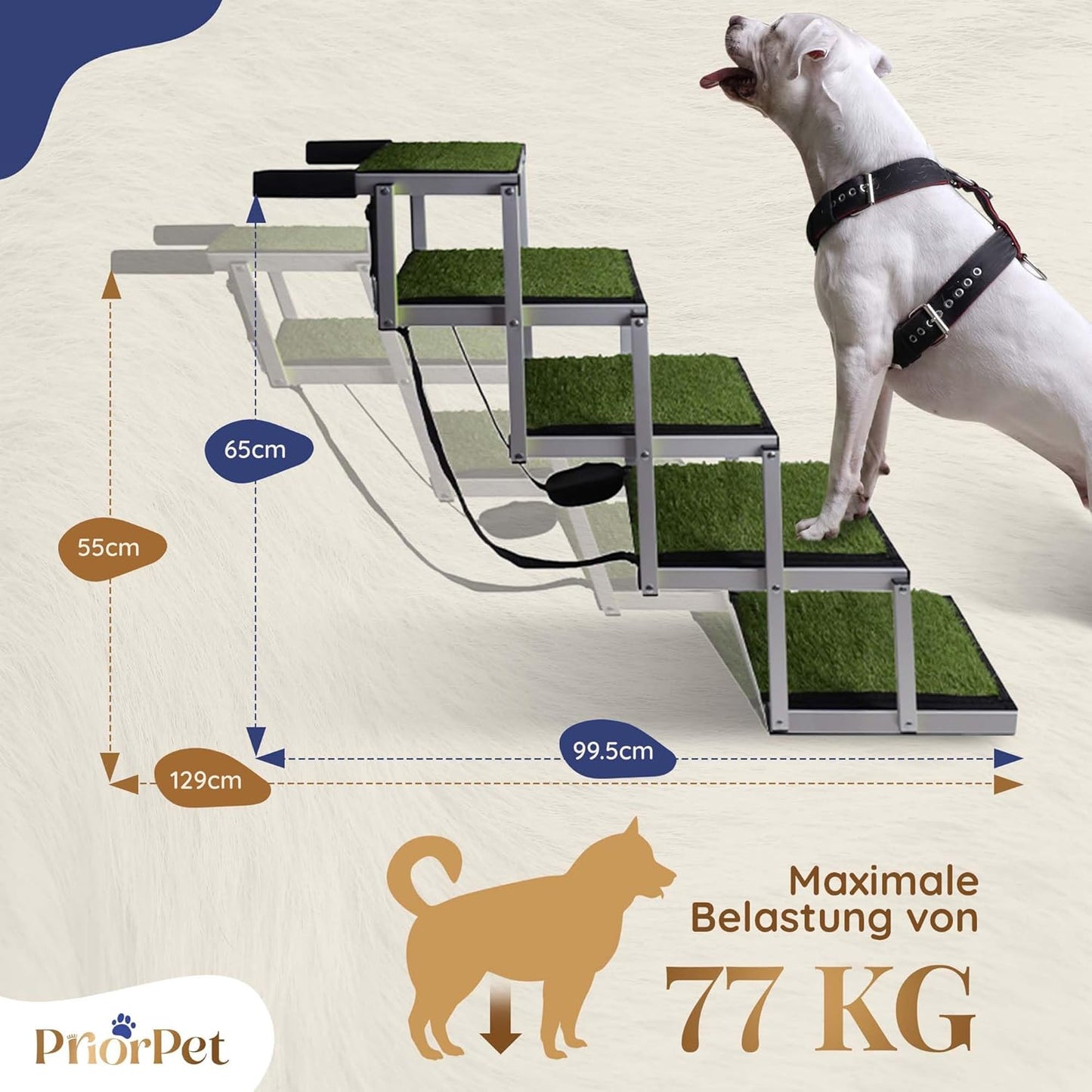Escaliers extérieurs de chien de 5 étapes-utilisés comme neuf
