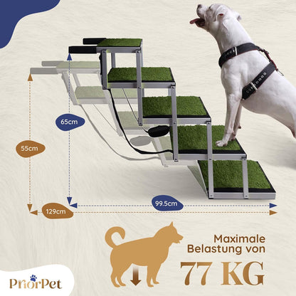 Escaliers extérieurs de chien de 5 étapes-utilisés comme neuf