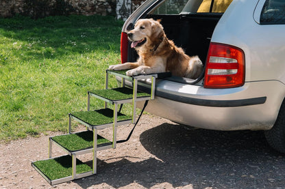 Escaliers extérieurs de chien de 5 étapes-utilisés comme neuf