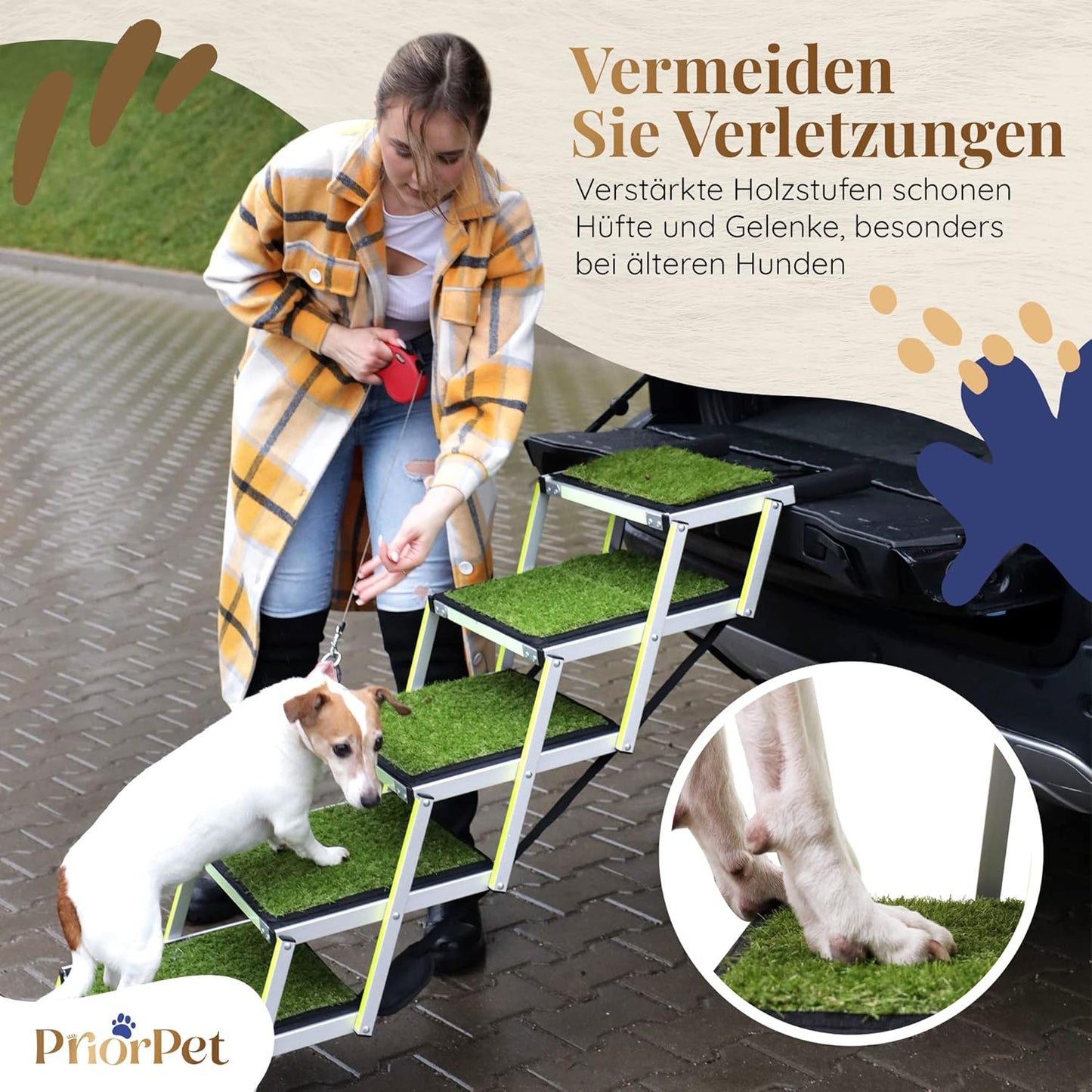 Escaliers extérieurs de chien de 5 étapes-utilisés comme neuf