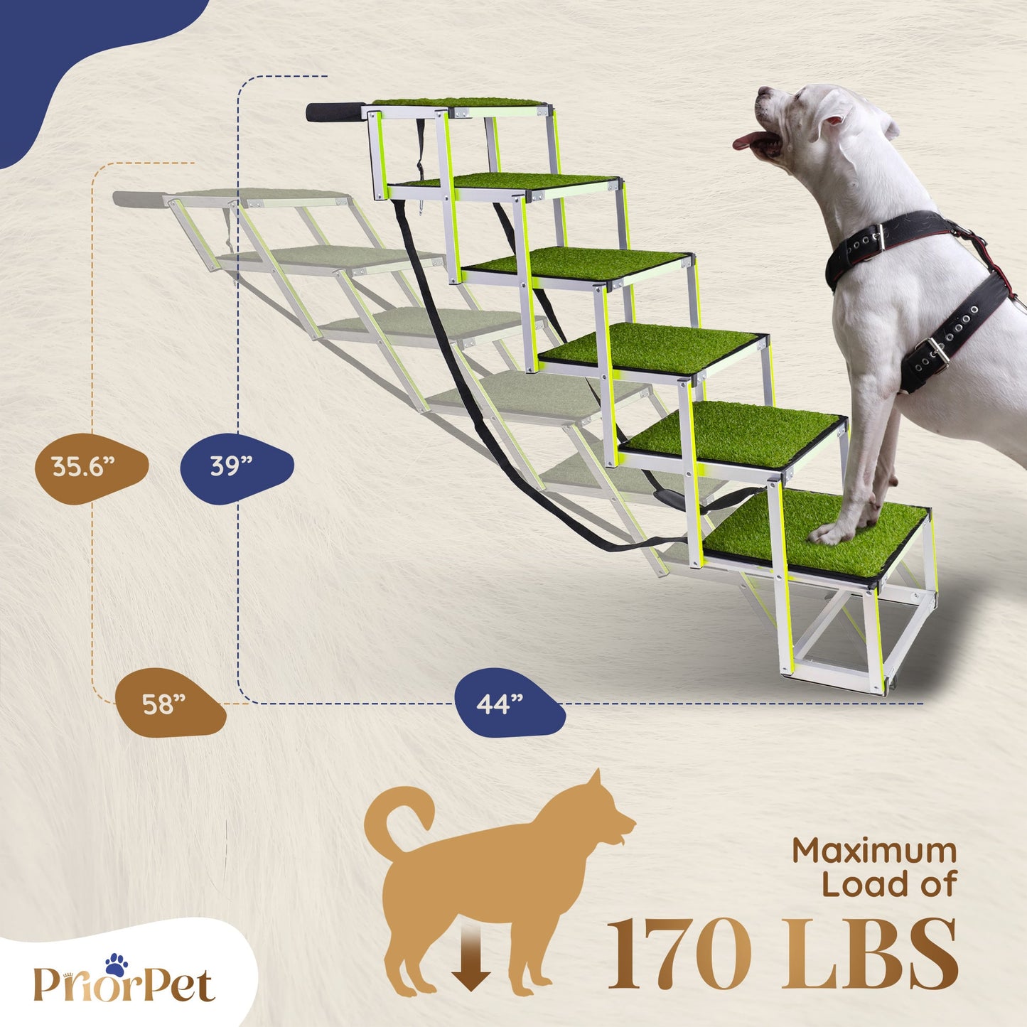 6-stufige Hundetreppe für den Außenbereich