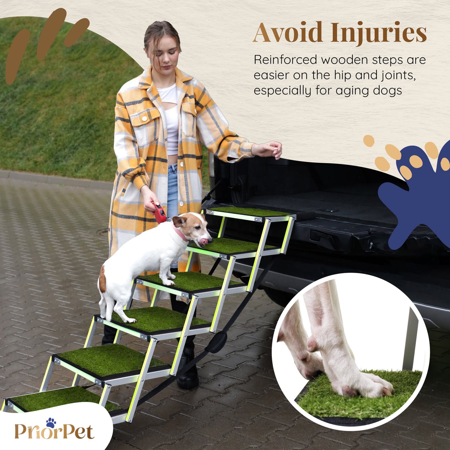 6-stufige Hundetreppe für den Außenbereich