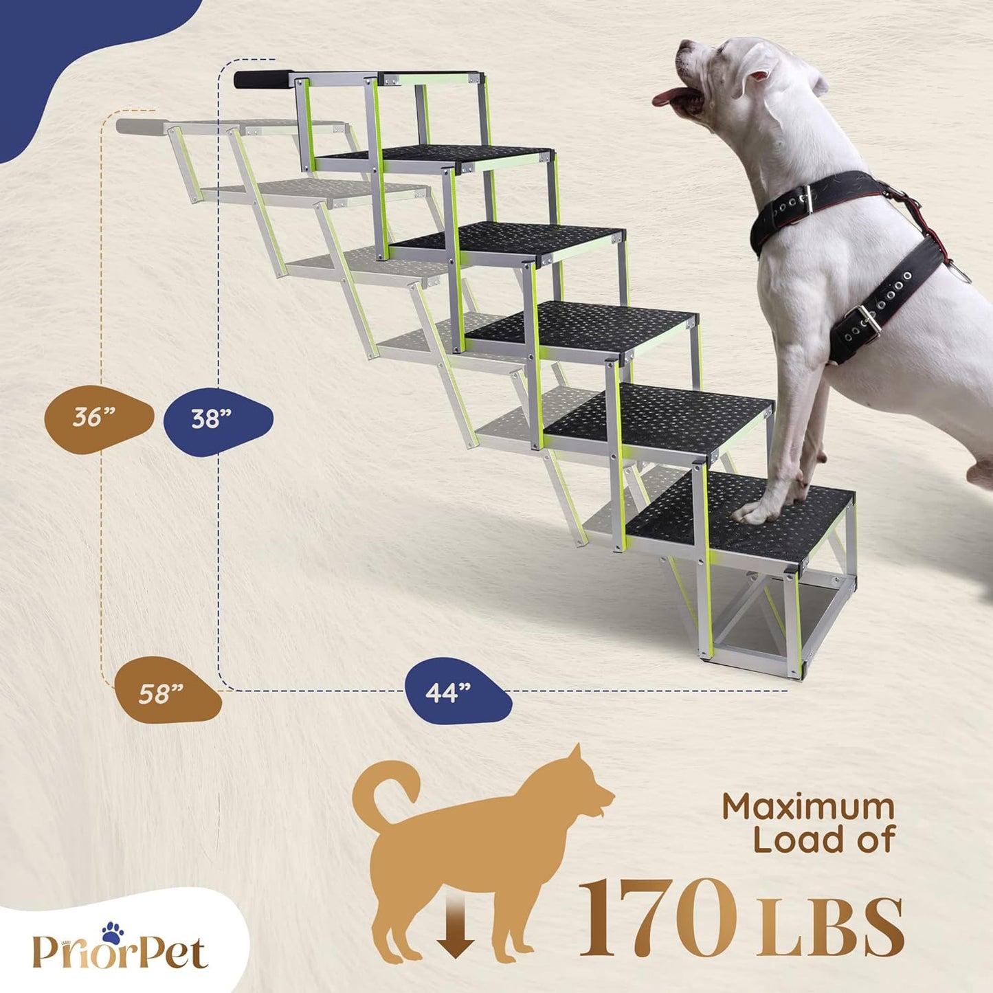 6-stufige Hundetreppe für den Außenbereich