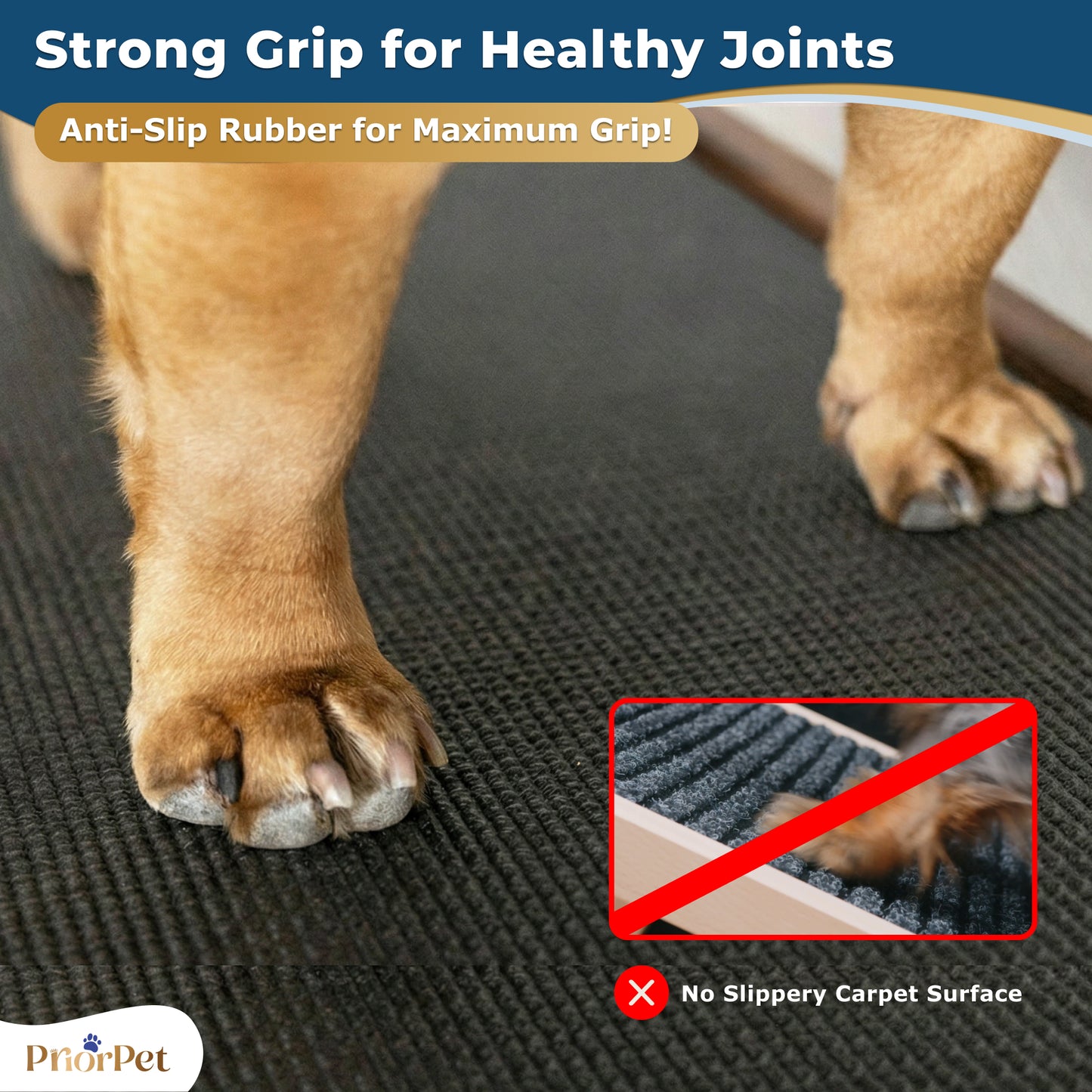 Dog Ramp for Couch - USA