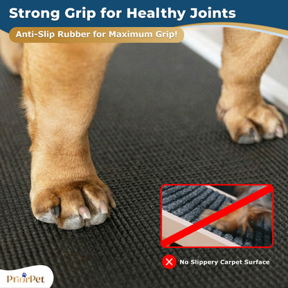 Dog Ramp for Couch - USA