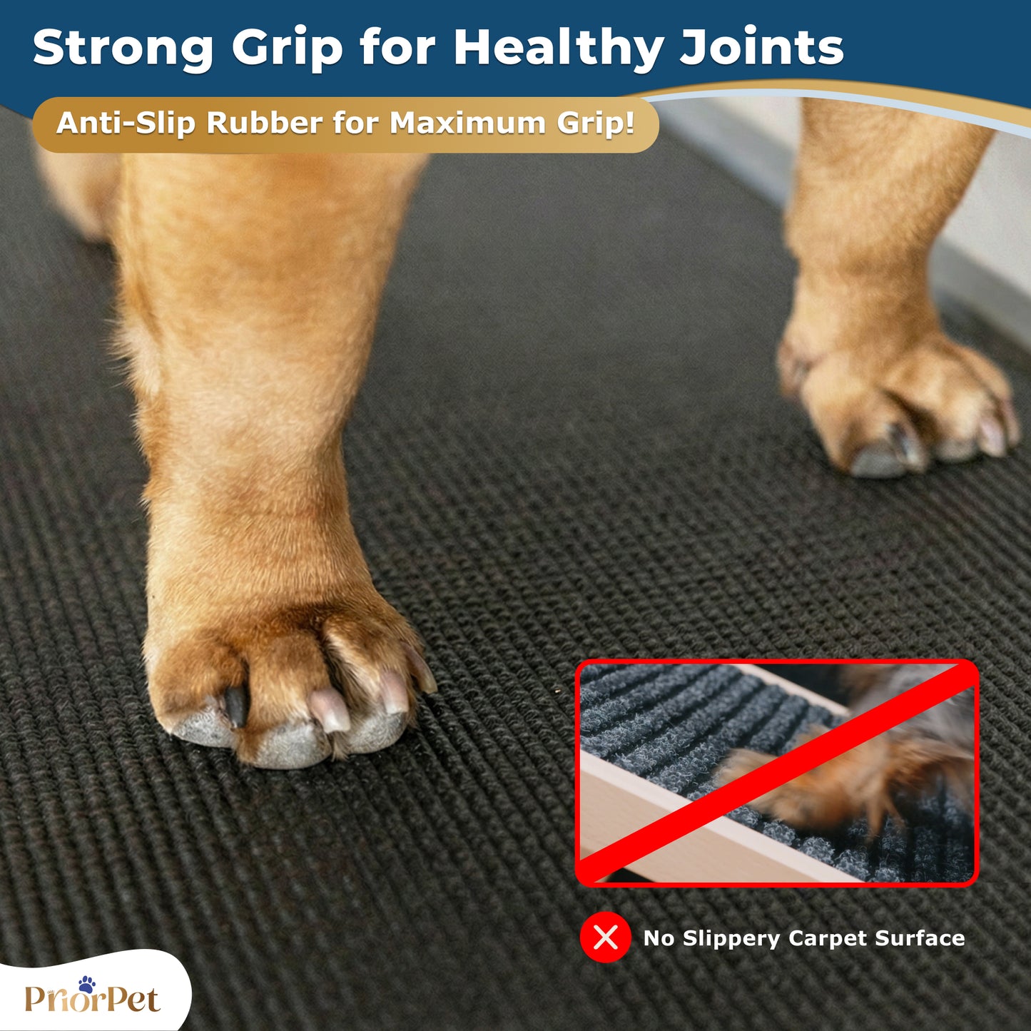 Dog Ramp for Couch - USA