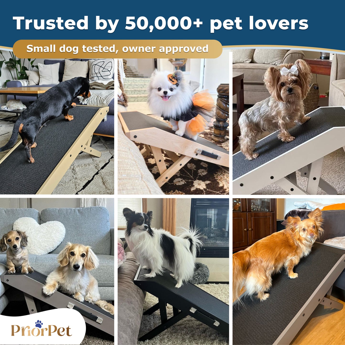Dog Ramp for Couch - USA