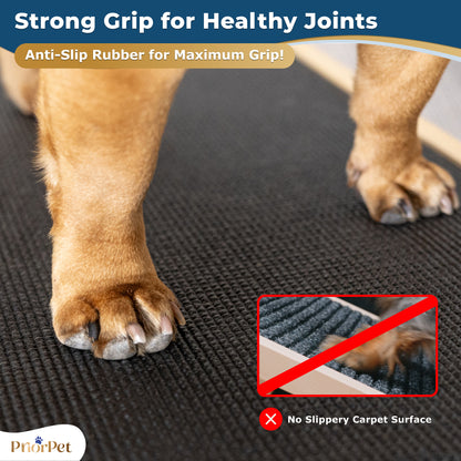 Dog Ramp for Couch - USA