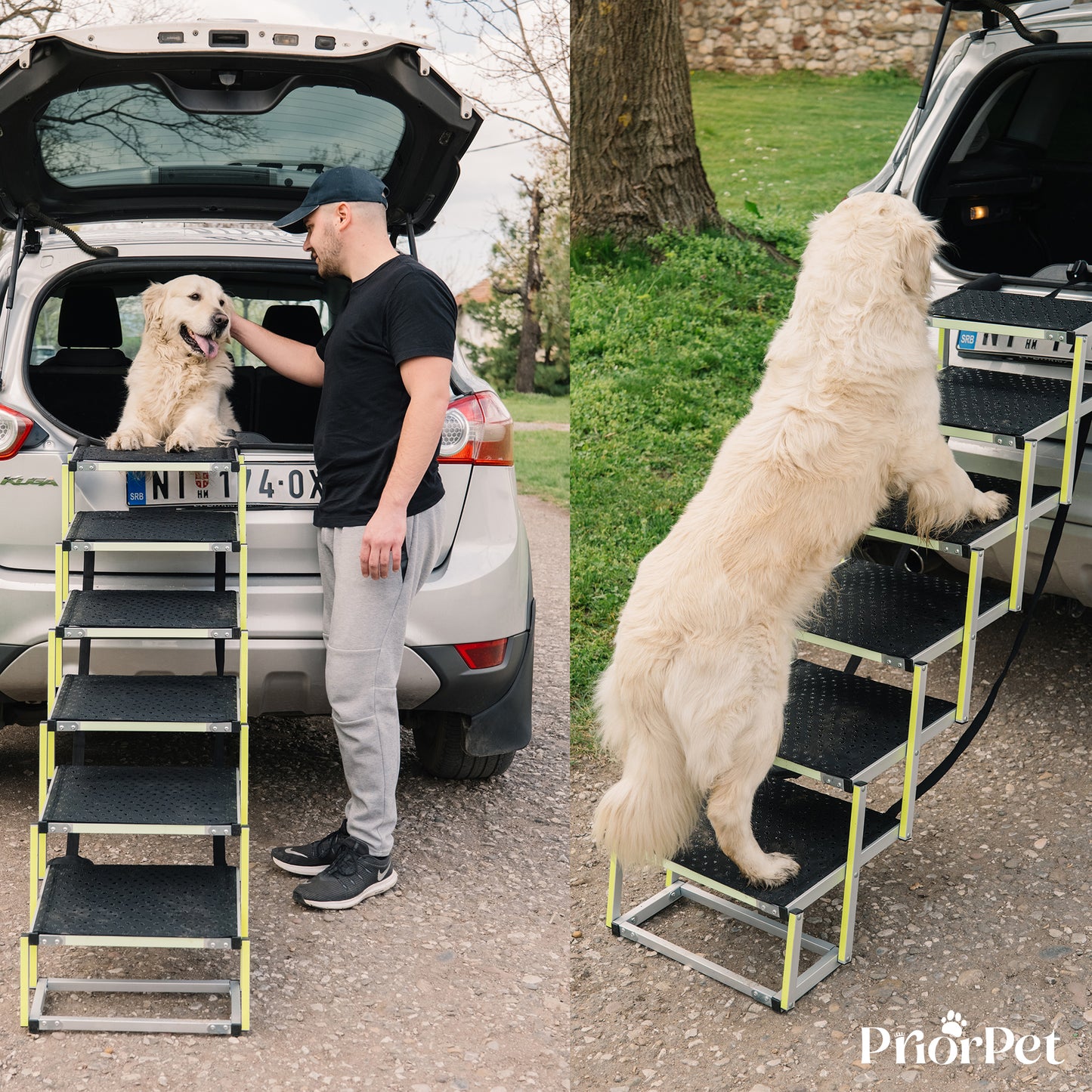 6-stufige Hundetreppe für den Außenbereich