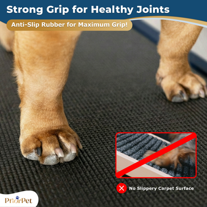 Dog Ramp for Couch - USA