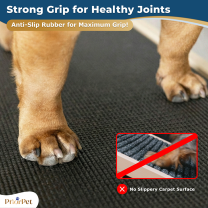 Dog Ramp for Couch - USA