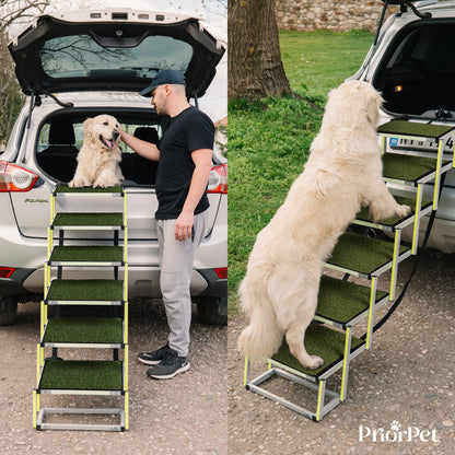 6-stufige Hundetreppe für den Außenbereich