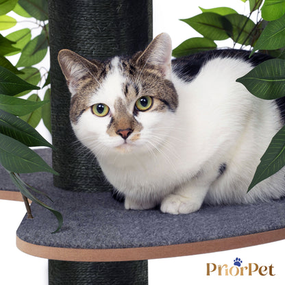 Kattenboom met verwisselbare bladeren-als nieuw gebruikt