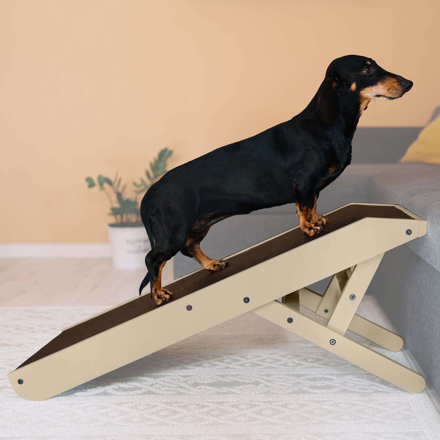 Rampe de chien pour canapé