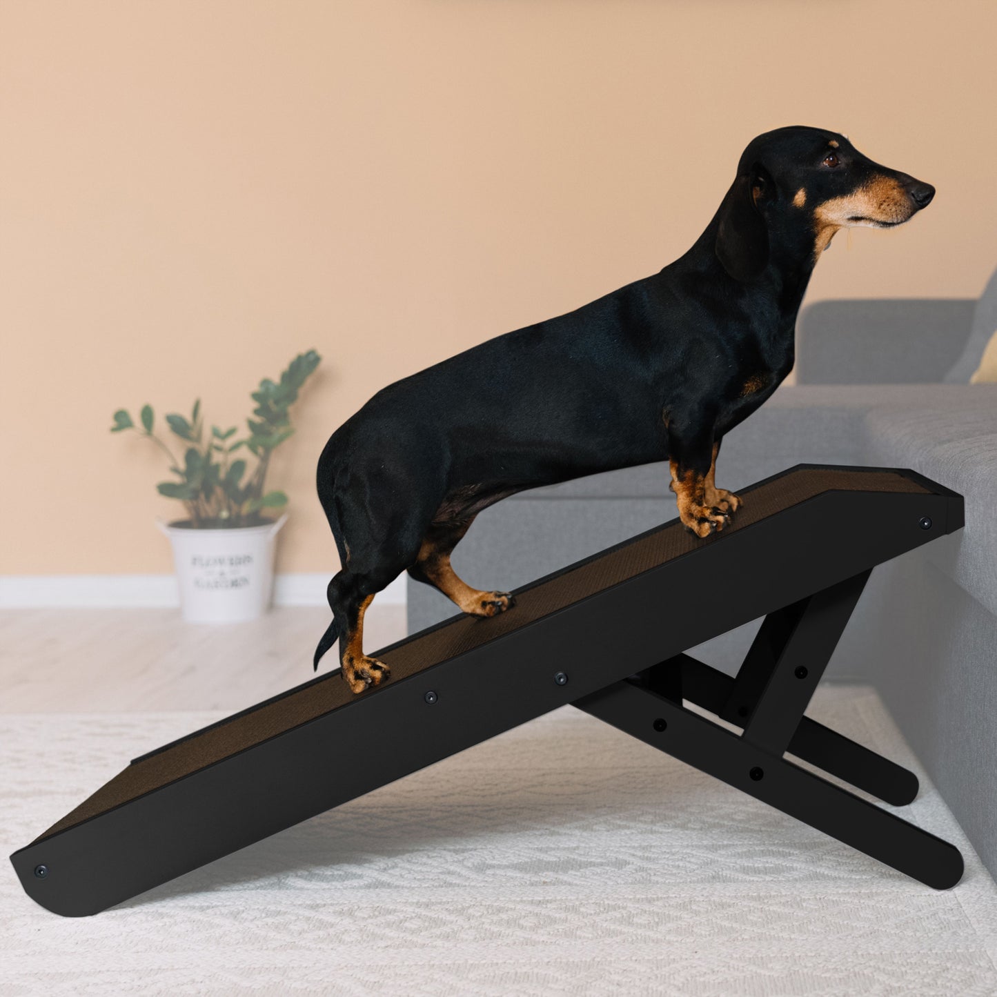 Rampe de chien pour canapé