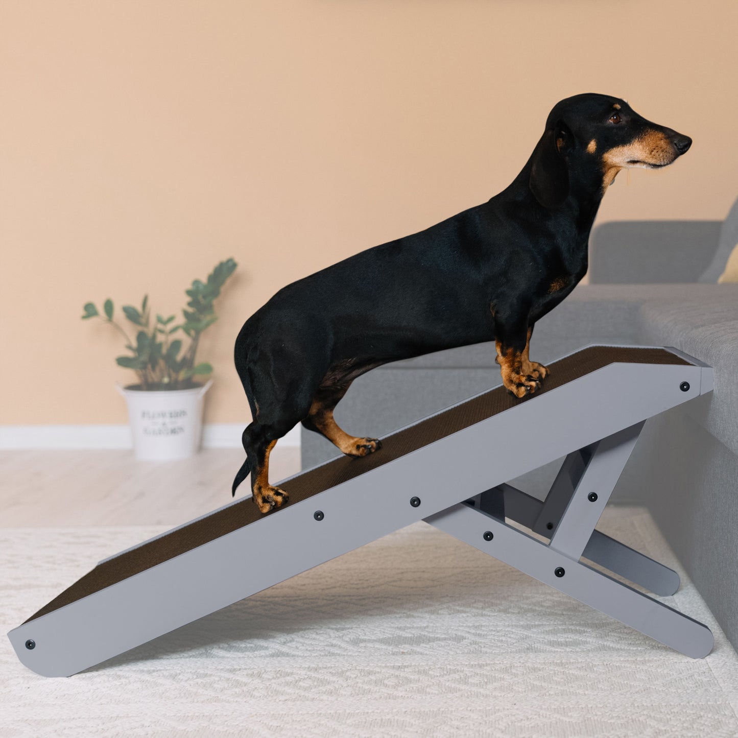 Rampe de chien pour canapé