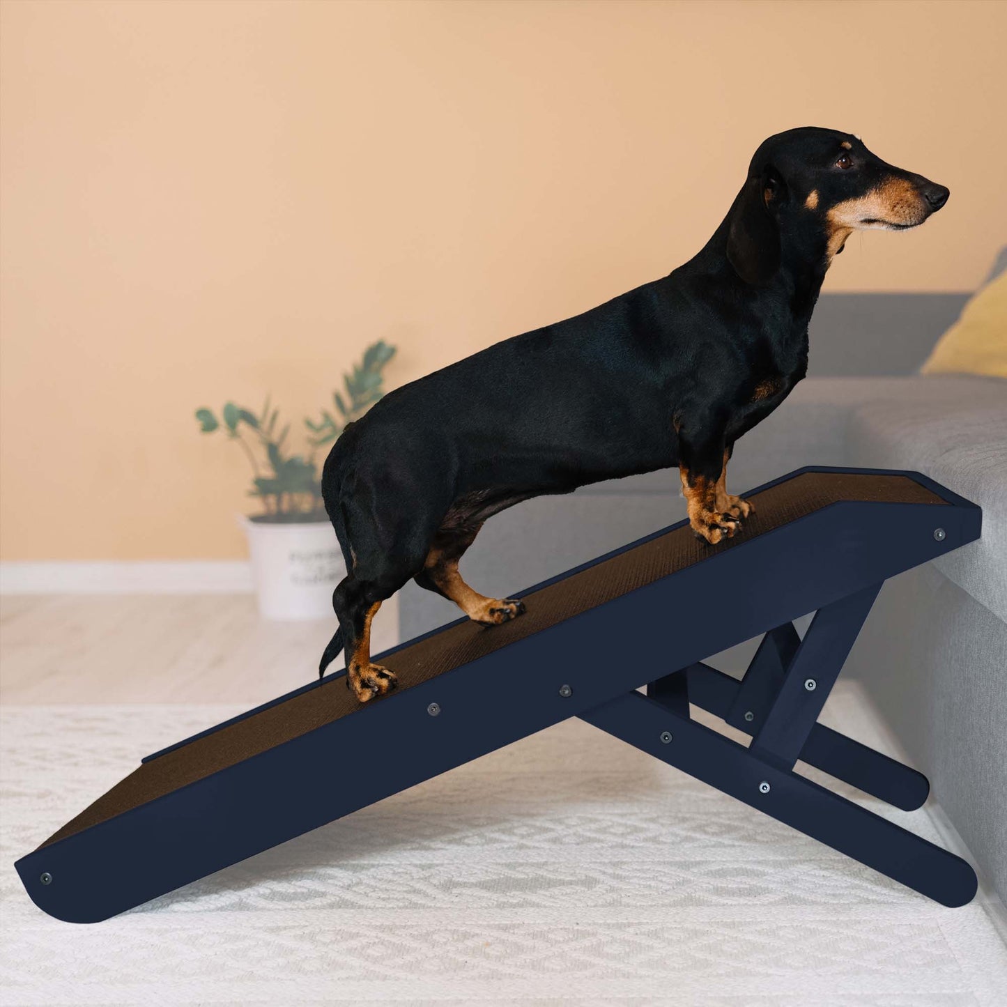 Rampe de chien pour canapé