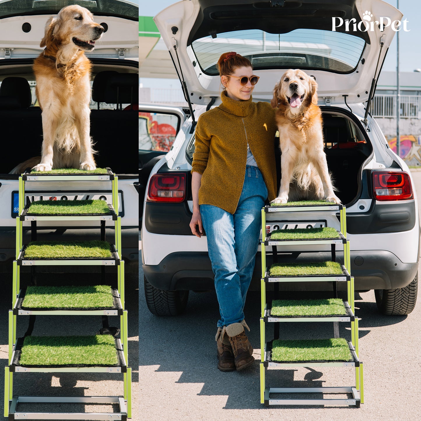 5 pasos al aire libre perro escaleras hierba-base no plana